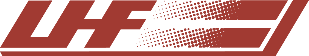 Latvia 19-Pres Primary Logo iron on transfers for clothing